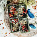 Cedar + Berry PRE-ORDER-0